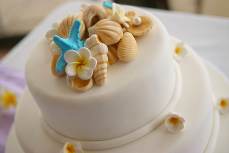 Honeymoon Wishes Photo Album